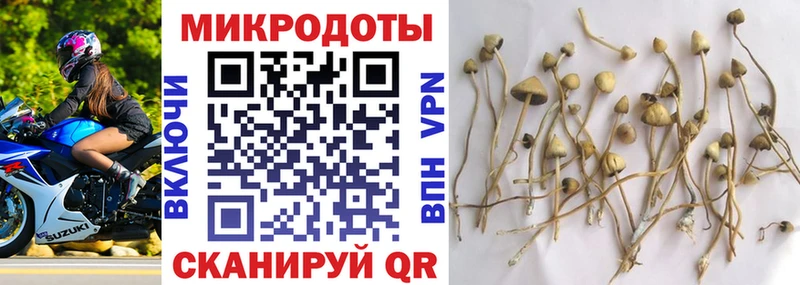 Галлюциногенные грибы Magic Shrooms  как найти наркотики  Саянск 